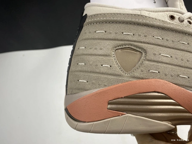 Rep Low Clot AIR Jordan Blush DC9857-200 14 Retro Terra 0715